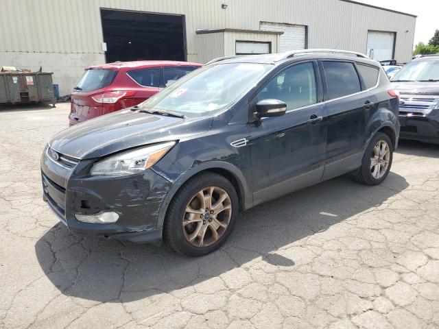 FORD ESCAPE TIT 2015 with VIN 1FMCU0J96FUA50834 - Photo from auction