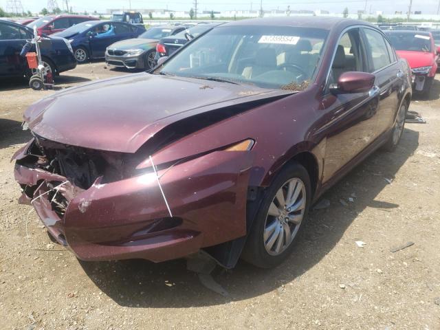 HONDA ACCORD EXL 2012 with VIN 1HGCP3F89CA019220 - Photo from auction