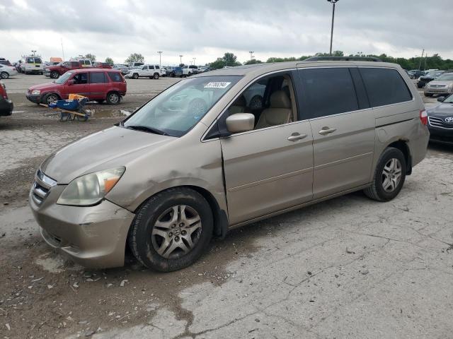 HONDA ODYSSEY EX 2005 with VIN 5FNRL38655B114416 - Photo from auction