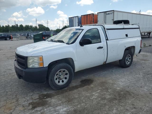 CHEVROLET SILVERADO 2008 with VIN 1GCEC14C18Z189322 - Photo from auction