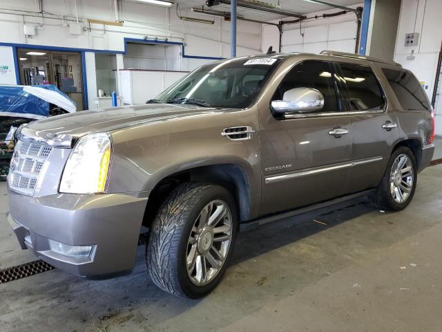 CADILLAC ESCALADE P 2012 with VIN 1GYS4DEF2CR121575 - Photo from auction