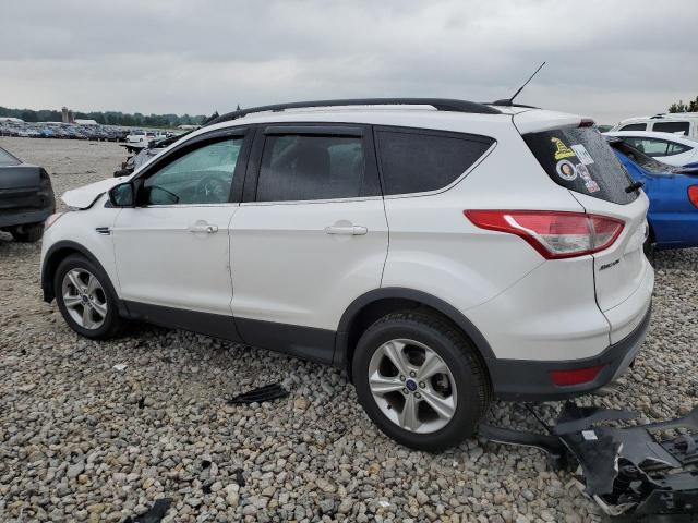 Photo 2 from auction – 2014 FORD ESCAPE SE with VIN 1FMCU9GX3EUC55181