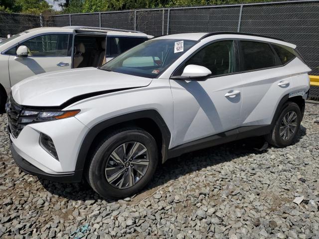 HYUNDAI TUCSON BLU 2024 with VIN KM8JBCD13RU141925 - Photo from auction