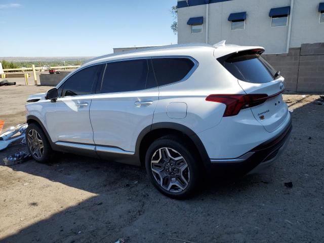 Photo 2 from auction – 2023 HYUNDAI SANTA FE L with VIN 5NMS5DA18PH018734