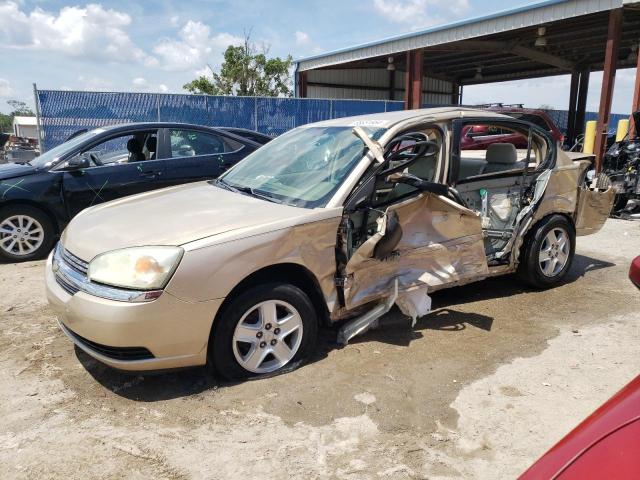 CHEVROLET MALIBU LS 2005 with VIN 1G1ZT52845F244617 - Photo from auction