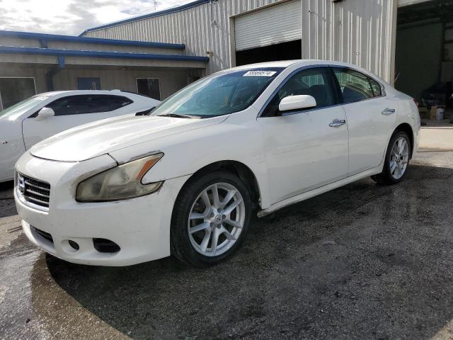 NISSAN MAXIMA S 2010 with VIN 1N4AA5AP4AC803765 - Photo from auction
