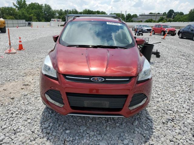 Photo 5 from auction – 2014 FORD ESCAPE SE with VIN 1FMCU0GX5EUE09174