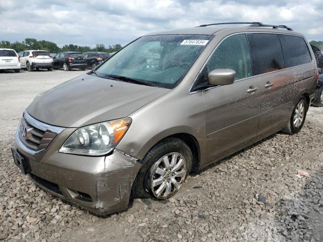 HONDA ODYSSEY EX 2008 with VIN 5FNRL38448B051294 - Photo from auction