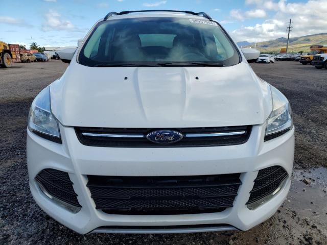 Photo 5 from auction – 2014 FORD ESCAPE SE with VIN 1FMCU0GXXEUE53770