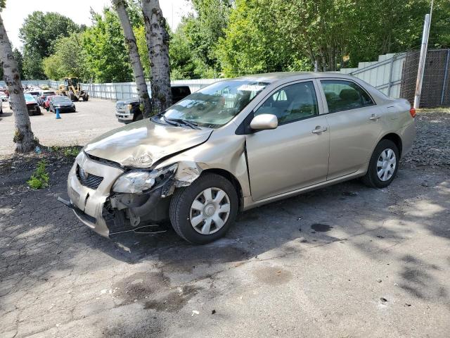 TOYOTA COROLLA BA 2009 with VIN 1NXBU40E99Z156572 - Photo from auction