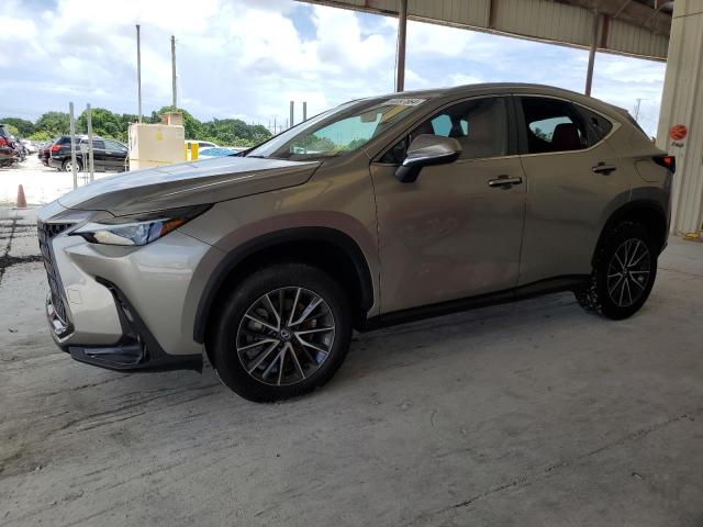 LEXUS NX 250 BAS 2024 with VIN 2T2ADCAZXRC007222 - Photo from auction