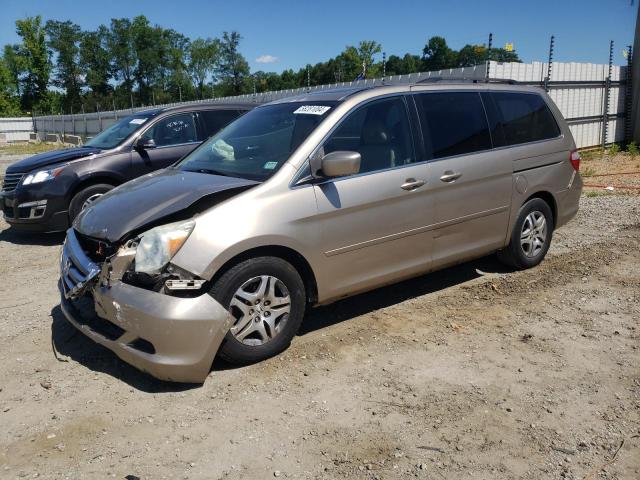 HONDA ODYSSEY EX 2006 with VIN 5FNRL38696B401579 - Photo from auction