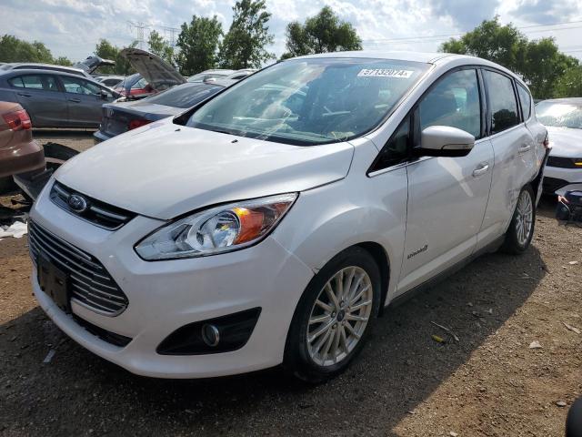 FORD C-MAX SEL 2014 with VIN 1FADP5BU1EL506684 - Photo from auction