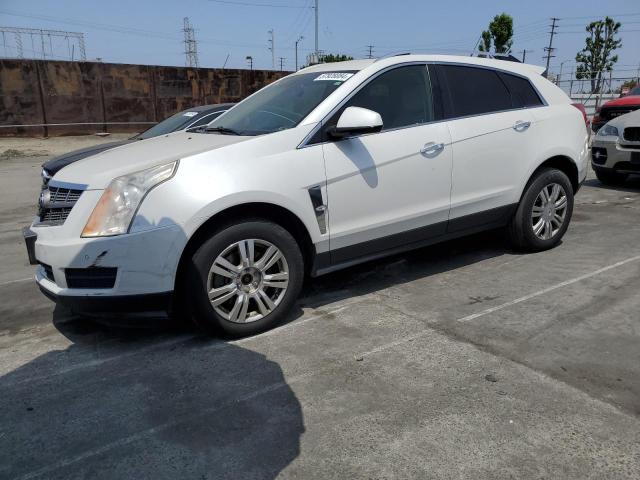 Photo 1 from auction – 2011 CADILLAC SRX LUXURY with VIN 3GYFNAEY5BS516540