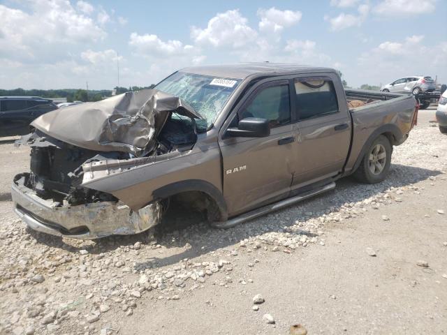 DODGE RAM 1500 2009 with VIN 1D3HV13PX9S756219 - Photo from auction