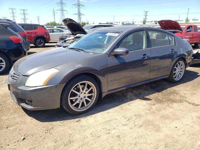 NISSAN MAXIMA SE 2008 with VIN 1N4BA41EX8C833702 - Photo from auction