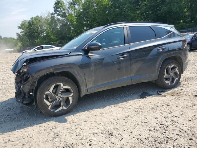 HYUNDAI TUCSON SEL 2023 with VIN 5NMJFCAE7PH220695 - Photo from auction