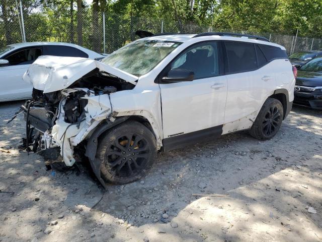 GMC TERRAIN SL 2020 with VIN 3GKALMEV3LL172901 - Photo from auction