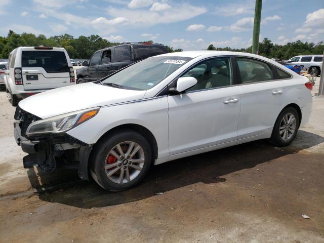 HYUNDAI SONATA SE 2016 with VIN 5NPE24AF7GH376394 - Photo from auction