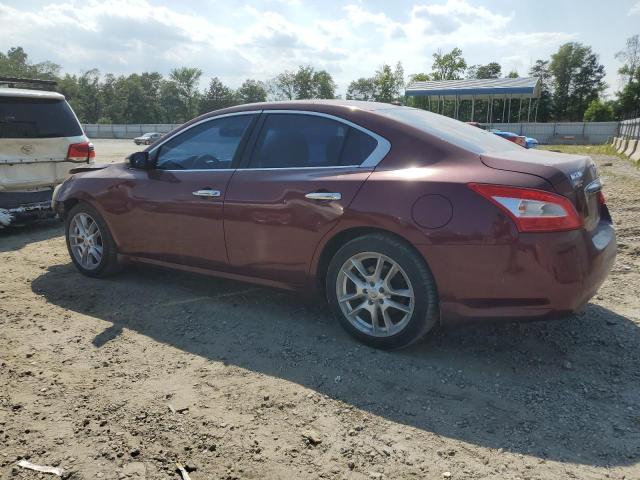 Photo 2 from auction – 2010 NISSAN MAXIMA S with VIN 1N4AA5AP6AC812595