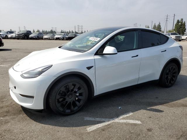 TESLA MODEL Y 2023 with VIN 7SAYGDEE1PF746448 - Photo from auction