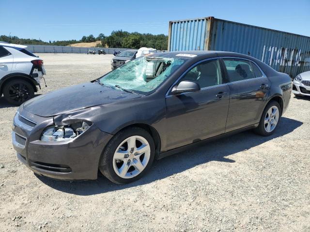 CHEVROLET MALIBU LS 2012 with VIN 1G1ZB5E04CF299798 - Photo from auction