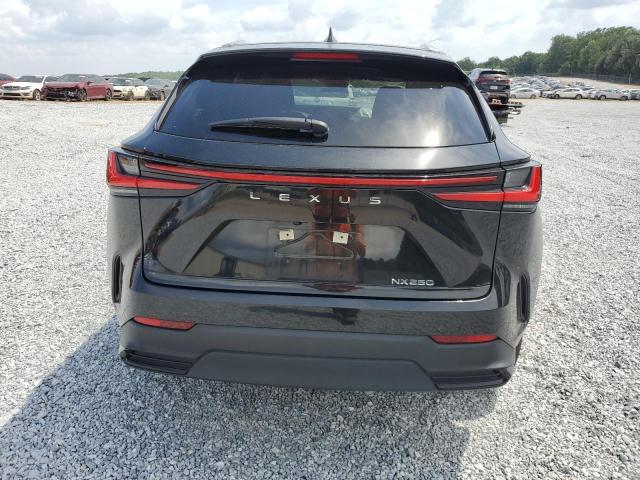 Photo 6 from auction – 2022 LEXUS NX 250 with VIN JTJADCAZ3N5005062