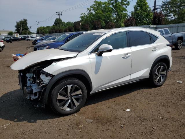 LEXUS NX 300 BAS 2018 with VIN JTJBARBZ6J2162904 - Photo from auction