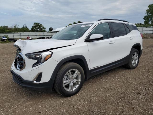 GMC TERRAIN SL 2021 with VIN 3GKALTEV5ML384050 - Photo from auction