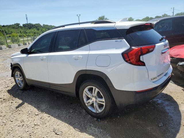 Photo 2 from auction – 2020 GMC TERRAIN SL with VIN 3GKALMEV6LL273589