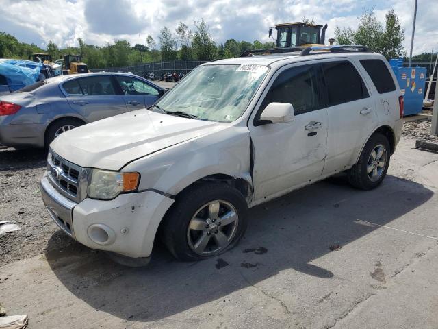 FORD ESCAPE LIM 2010 with VIN 1FMCU9EG8AKC93854 - Photo from auction