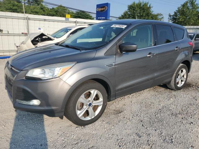 Photo 1 from auction – 2014 FORD ESCAPE SE with VIN 1FMCU0GX0EUE34919