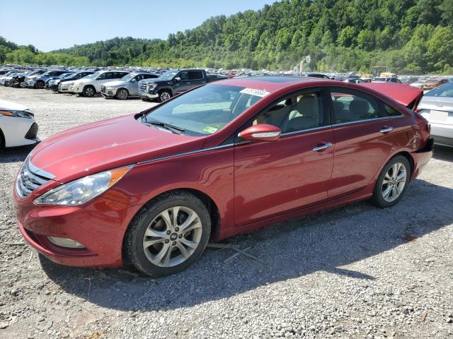 HYUNDAI SONATA SE 2011 with VIN 5NPEC4AC6BH189823 - Photo from auction