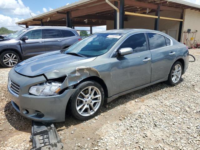 NISSAN MAXIMA S 2010 with VIN 1N4AA5AP8AC853374 - Photo from auction