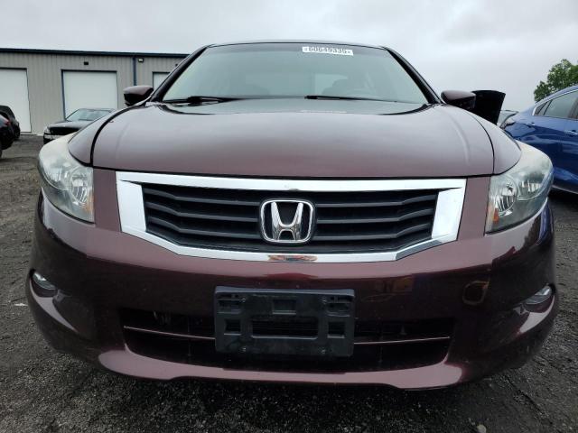 Photo 5 from auction – 2010 HONDA ACCORD EXL with VIN 5KBCP3F84AB011160