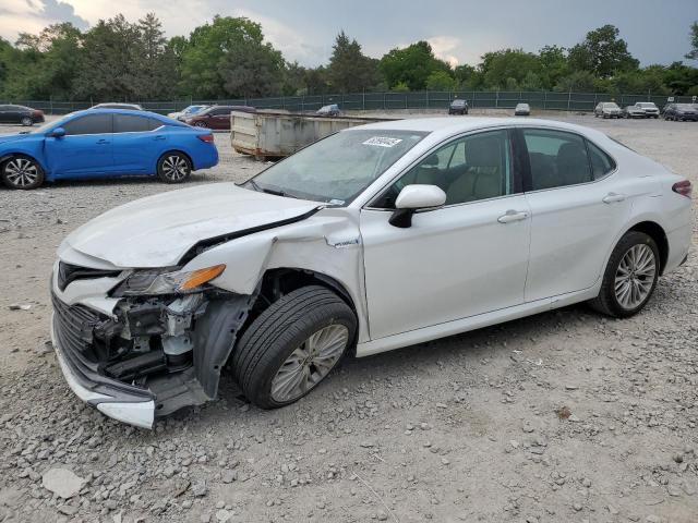 TOYOTA CAMRY XLE 2020 with VIN 4T1F31AK2LU526209 - Photo from auction