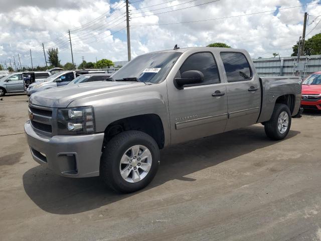CHEVROLET SILVERADO 2013 with VIN 3GCPCSE07DG123256 - Photo from auction