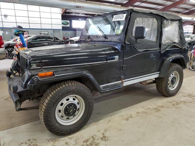 JEEP WRANGLER / 1993 with VIN 1J4FY19P9PP227563 - Photo from auction