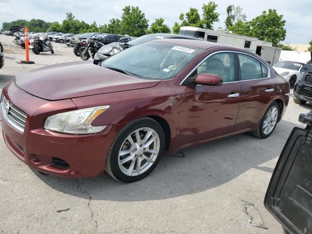 NISSAN MAXIMA S 2013 with VIN 1N4AA5AP0DC803749 - Photo from auction