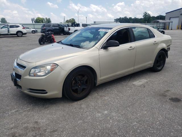 CHEVROLET MALIBU LS 2010 with VIN 1G1ZB5EB9AF154514 - Photo from auction