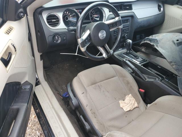 Photo 8 from auction – 2014 FORD MUSTANG with VIN 1ZVBP8AM2E5252201