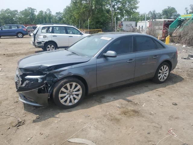AUDI A4 PREMIUM 2014 with VIN WAUBFAFL6EN033042 - Photo from auction