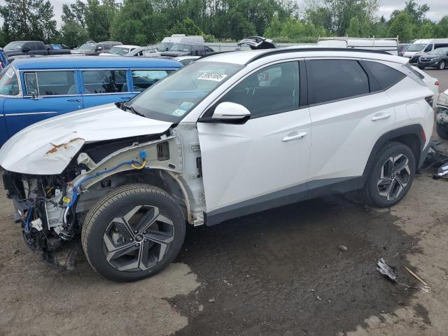 HYUNDAI TUCSON SEL 2022 with VIN KM8JBDA23NU046973 - Photo from auction