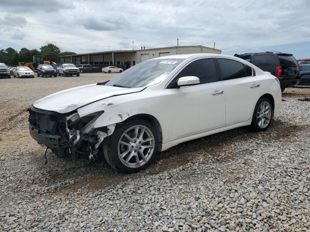 NISSAN MAXIMA 2010 with VIN 1N4AA5APXAC818626 - Photo from auction