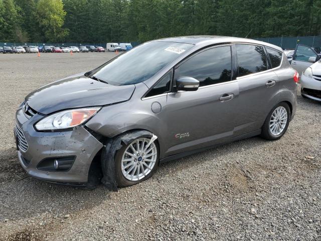 FORD C-MAX PREM 2013 with VIN 1FADP5CU8DL541980 - Photo from auction