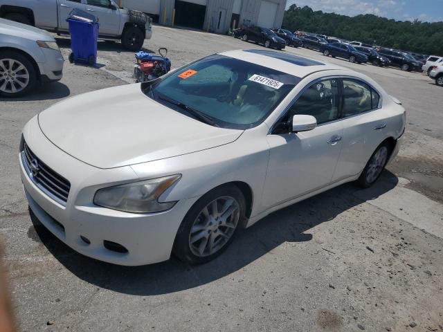 NISSAN MAXIMA 2010 with VIN 1N4AA5AP7AC831303 - Photo from auction