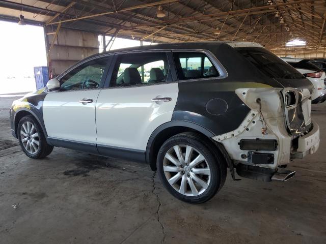 Photo 2 from auction – 2010 MAZDA CX-9 with VIN JM3TB2MV4A0230576