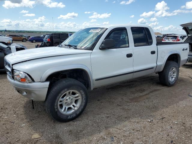 DODGE DAKOTA QUA 2003 with VIN 1D7HG48N13S177855 - Photo from auction