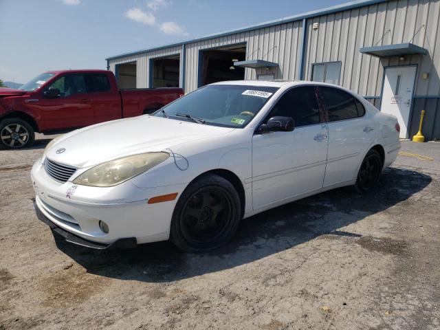 LEXUS ES 330 2005 with VIN JTHBA30G655083009 - Photo from auction