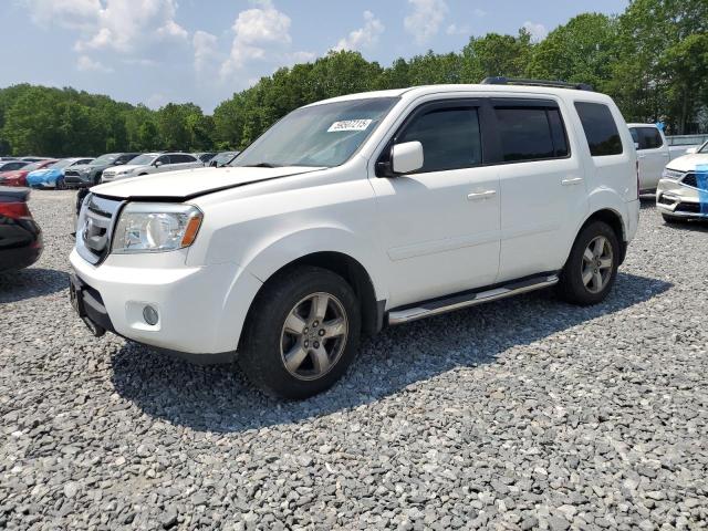 HONDA PILOT EXL 2009 with VIN 5FNYF48539B022887 - Photo from auction